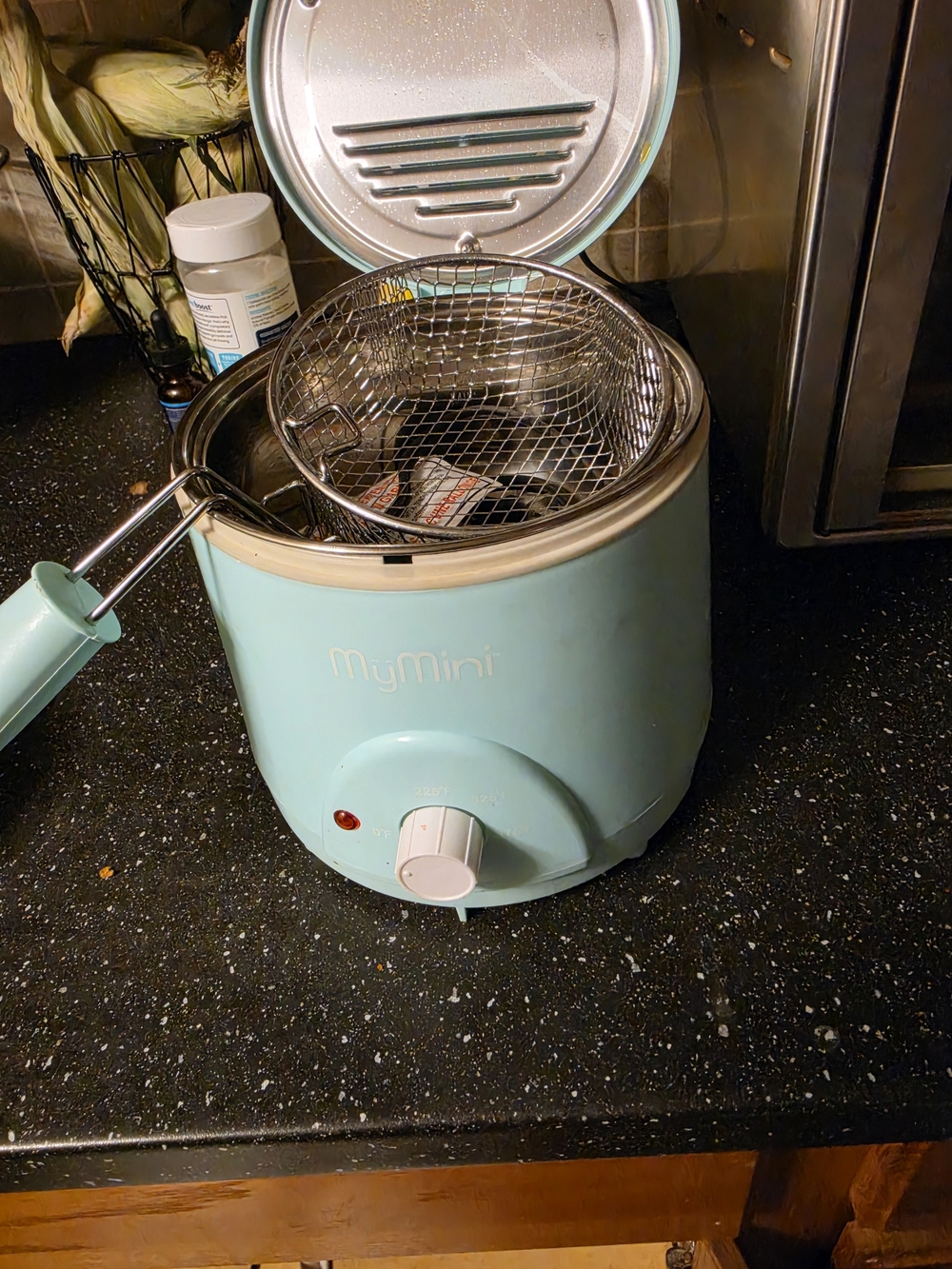 Compact Electric Deep Fryer in Light Blue